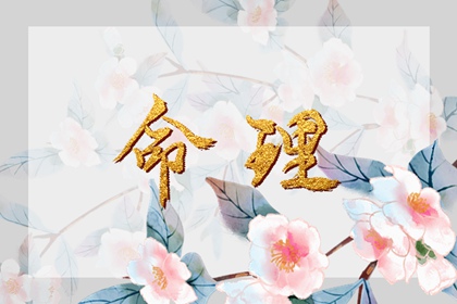择吉老黄历|黄历择吉|择吉皇历